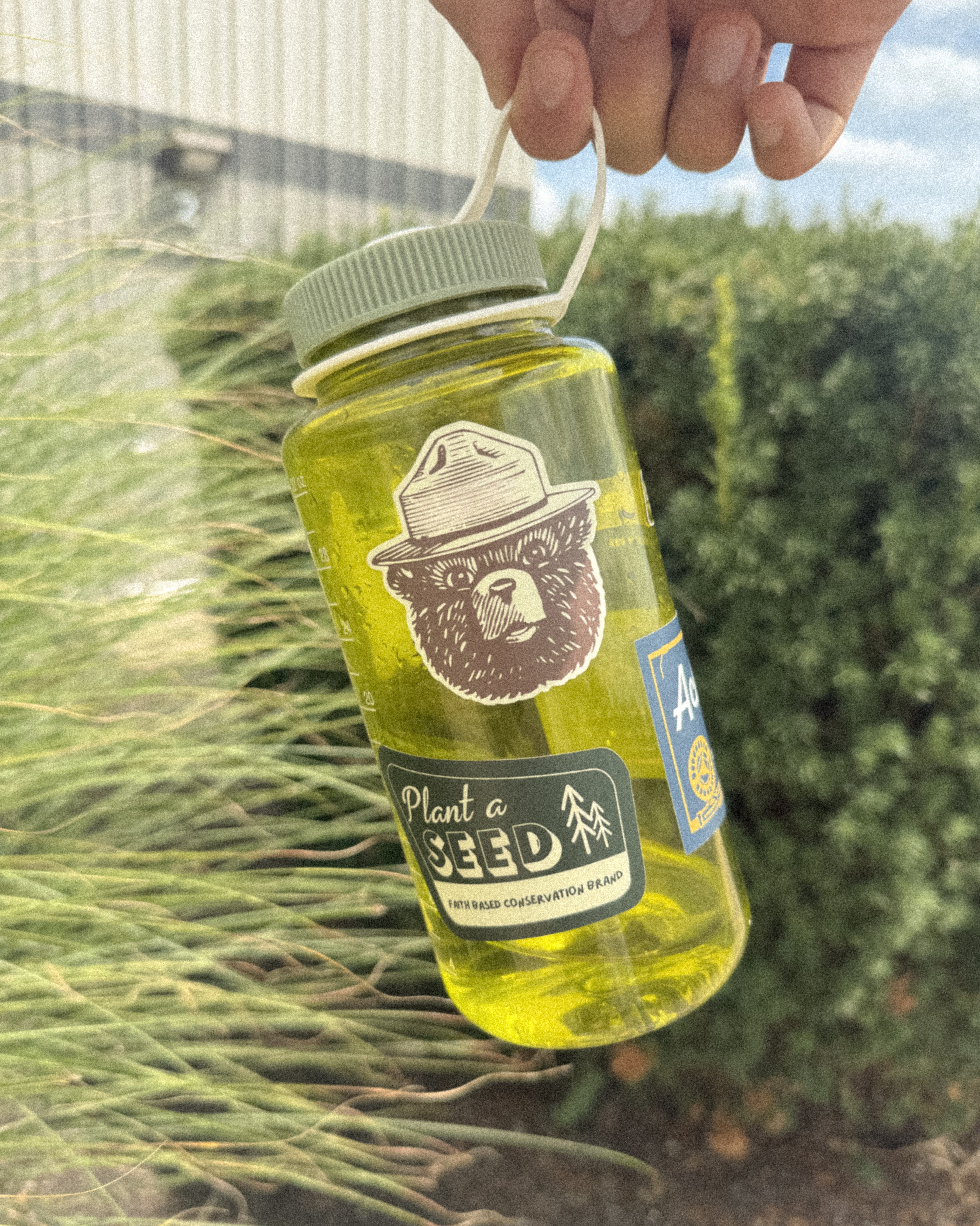 The Original Plant A Seed Sticker
